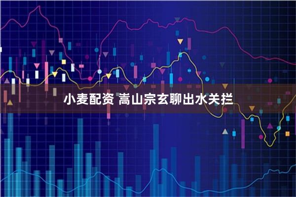小麦配资 嵩山宗玄聊出水关拦