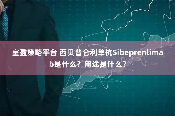 室盈策略平台 西贝普仑利单抗Sibeprenlimab是什么？用途是什么？