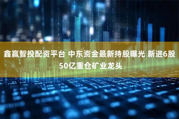 鑫赢智投配资平台 中东资金最新持股曝光 新进6股 50亿重仓矿业龙头